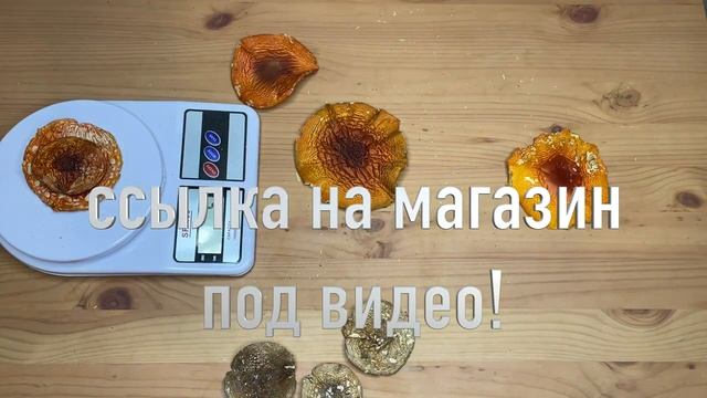 🍄Микродозинг не работает,что делать🍄😱 смотреть онлайн