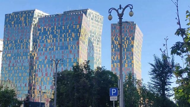 Московские грибы 4к🍄🙄 смотреть онлайн