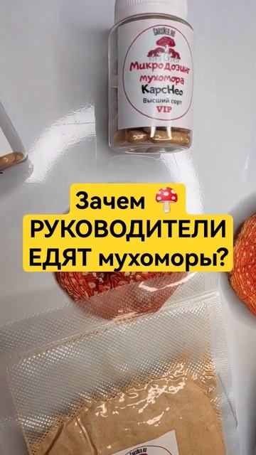 Зачем 🍄 РУКОВОДИТЕЛИ ЕДЯТ мухоморы? #микродозинг #микродозингмухомора #мухомор #сша #ежовик смотреть онлайн