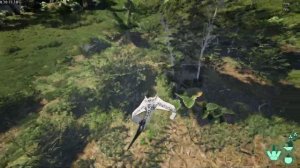 Файты на Дино - The Isle evrima