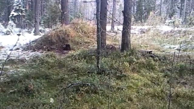 Грибы 2010 под снегом смотреть онлайн