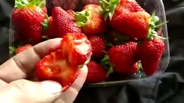 импортная клубника с червями