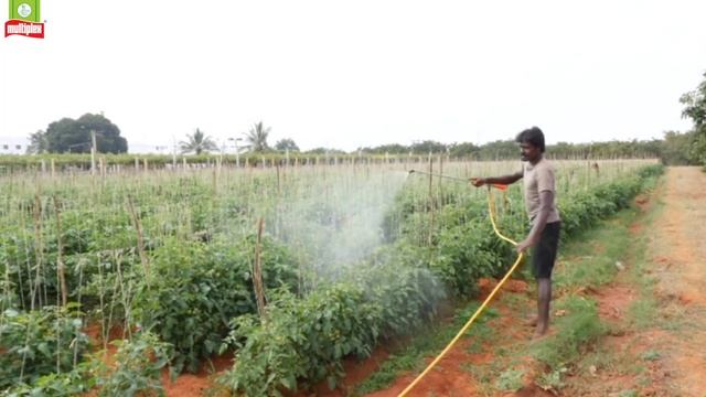 Multiplex Group I Exports I Promoting sustainable Agriculture, Come collaborate with us.