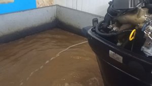 запуск Tohatsu 9.9