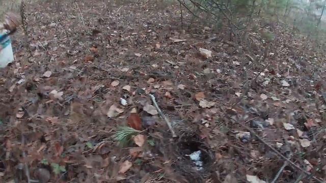 Как мы в лес по грибы ходили . смотреть онлайн