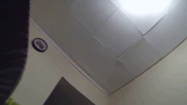 Василиска 17.01.2016 - 3 смотреть онлайн