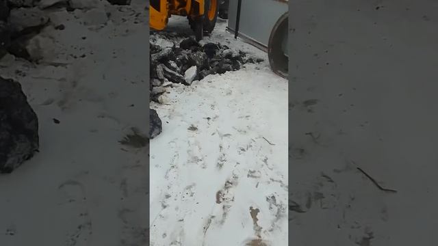 21 декабря 2022 г. смотреть онлайн