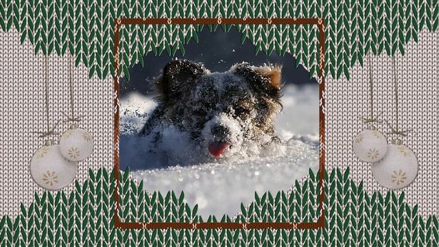 КОГДА ЗИМА В РАДОСТЬ! смотреть онлайн