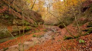 Сирценихер Вассерфаль Трир Осенняя прогулка по реке Германия