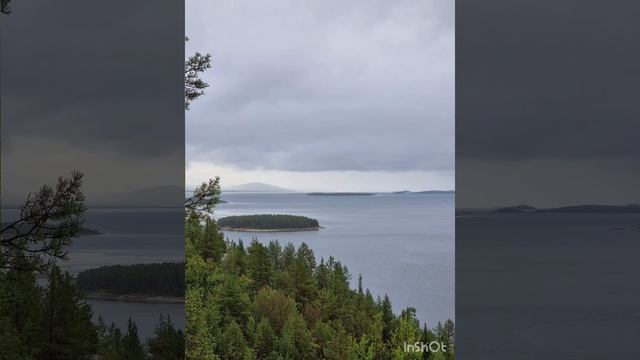 Россия моими глазами.  подмосковье русскийсевер заполярье грибы белоеморе баренцевоморе