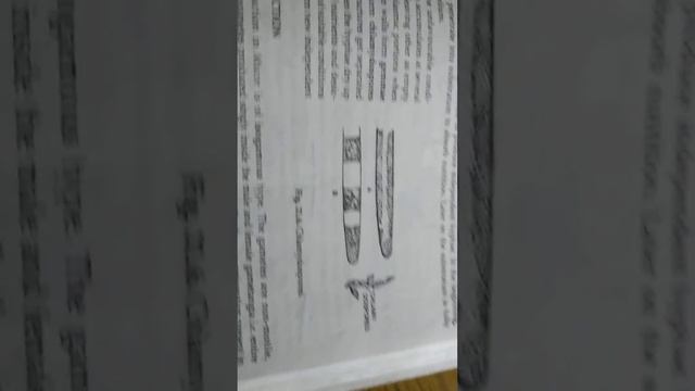 asexual reproduction of Rhizopus by gemme and chlamydospores смотреть онлайн