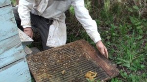 Плановая проверка после весны(1 серия)