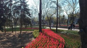 Парк Веселка Мариуполь