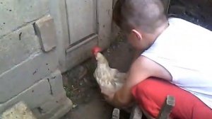 Как загипнотизировать курицу.Всё тут!!!