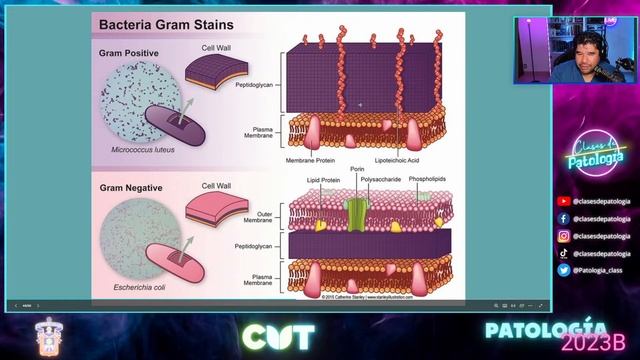 Emisión en directo - Enfermedades Infecciosas- Curso 2023B смотреть онлайн