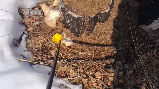 Грибы марта смотреть онлайн