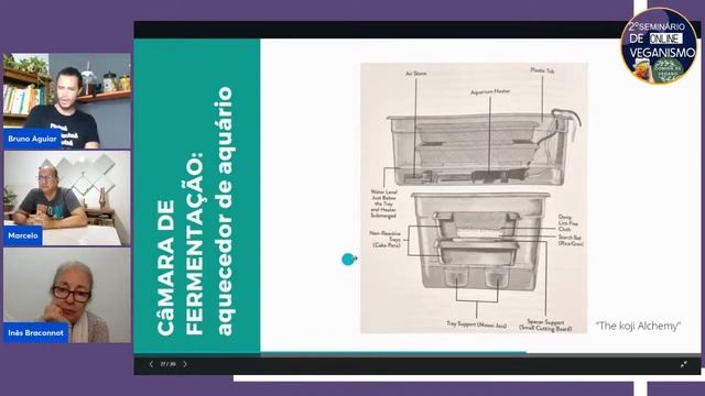 Bruno Aguiar - A magia dos fungos na fermentação смотреть онлайн