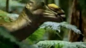 Muttaburrasaurus - roar