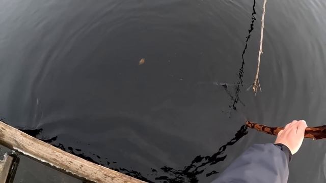 Риболовля на саморобну жерлицю, велика вода Стоходу