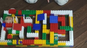 Хомячки в лабиринте из конструктора