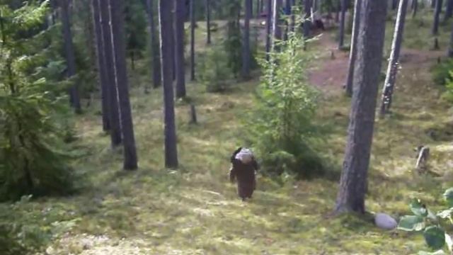 лесхолмыребенок?