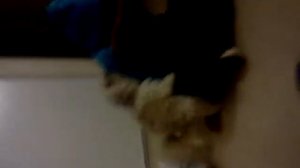 Dog likes girl a lot