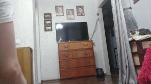 VID_20250202_221233.mp4