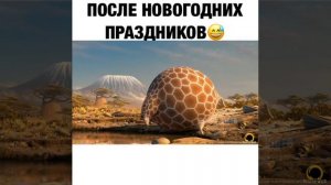 Прикол про жирафа