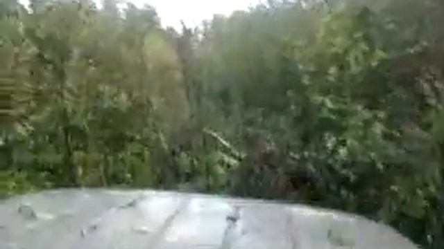 С Васей ездили за грибами смотреть онлайн