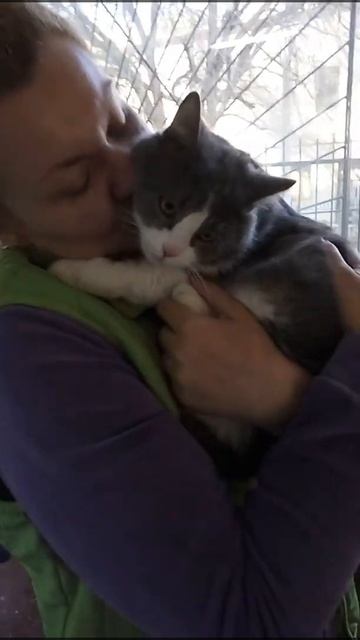Кот обнимается / Очень ласковый Плюшик / Приют для животных "Счастливы вместе"