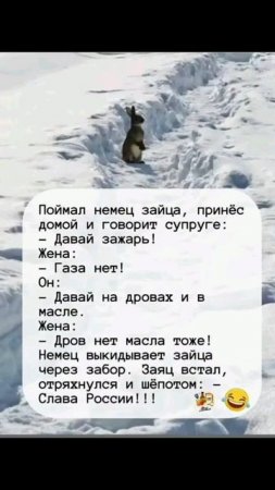 Приколы года 3