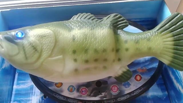 Поющий карп-подарок рыбаку смотреть онлайн