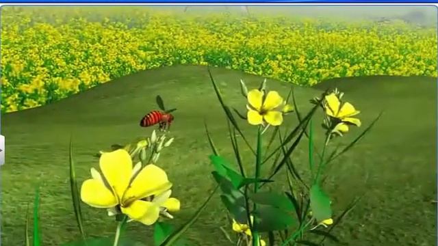 CBSE Class 11 Biology  Characteristics of Living Organisms  By Shiksha House
