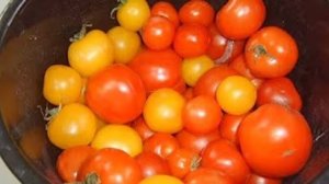 Хреновина. Маринкины творинки. Всем МИРА и Добра!