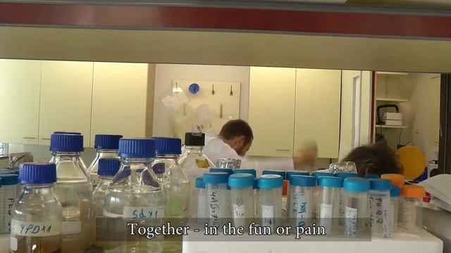 SB lab- go yeast 2012.mp4 смотреть онлайн