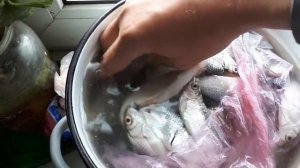 Эксперимент - ЗАМОРОЖЕННЫЙ карась оживает