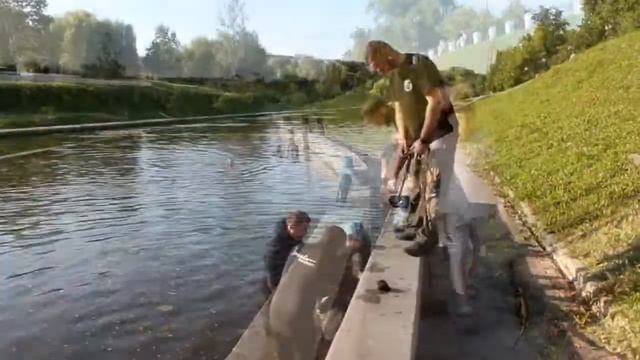 Дайверы чистят реку Орлик смотреть онлайн
