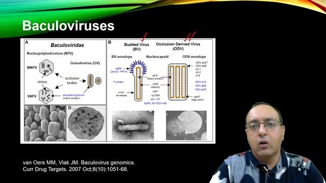 Recombinant Protein Expression in Eukaryotes | Biotechnology