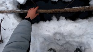 ОХОТА НА БОБРА!КАПКАНАМИ ЗИМОЙ!