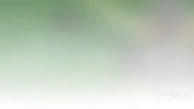 Ophiocordyceps dipterigena - fungi kingdom смотреть онлайн