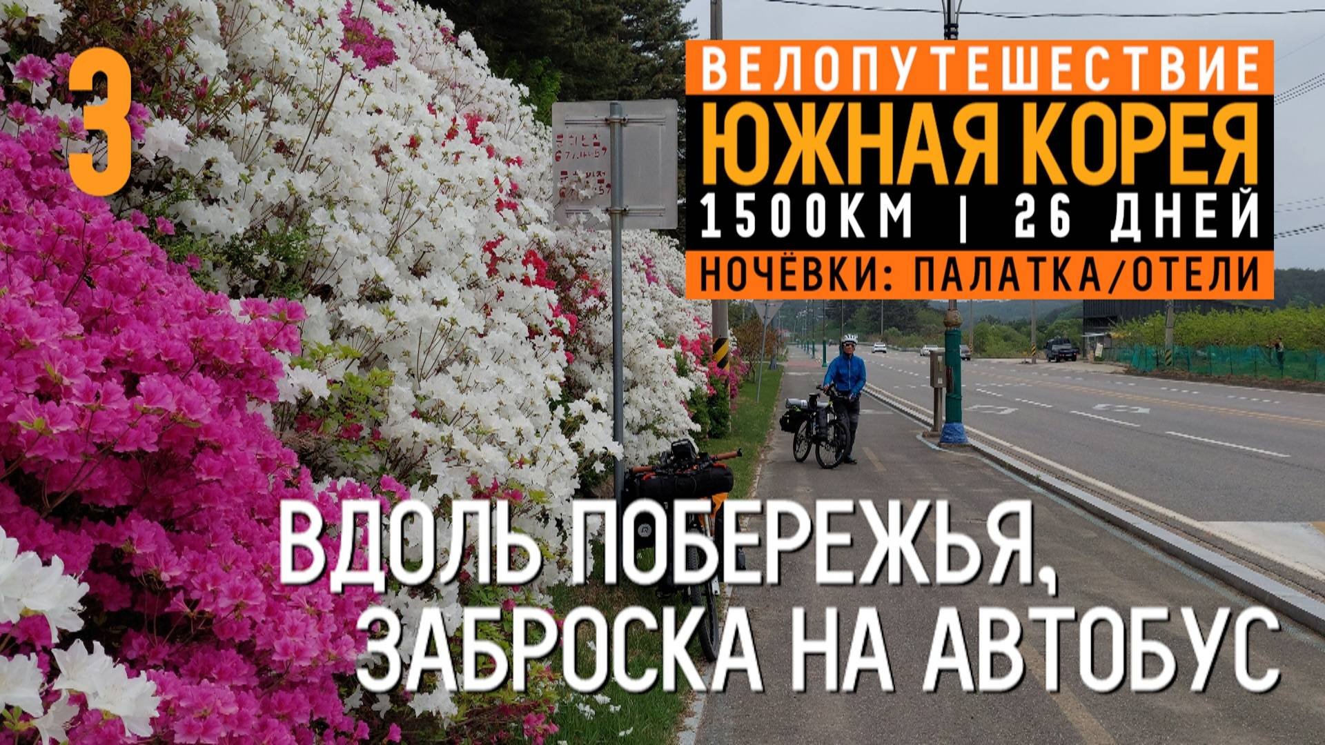 Южная Корея на велосипеде  Серия 3  Пора на юга  Сокчхо  35km.