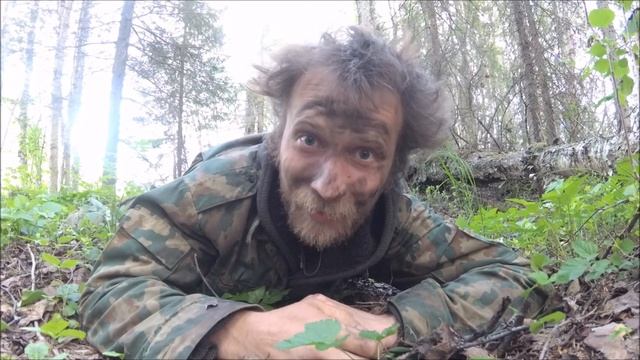 НОВОСТИ ИЗ ЛЕСА  СРОЧНЫЙ ВЫПУСК!!!