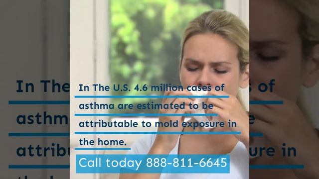 Mold Removal Help? Call 888-811-6645 Florida смотреть онлайн