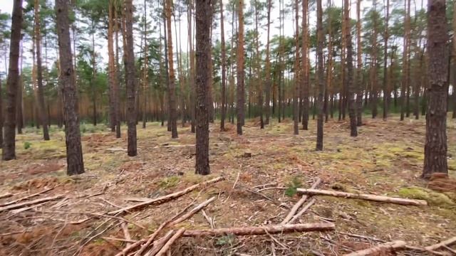 Шопинг с мужем/Что купили/Большие скидки/Мы дома/Где грибы?/Работаем в саду/Любим порядок/Ужин смотреть онлайн