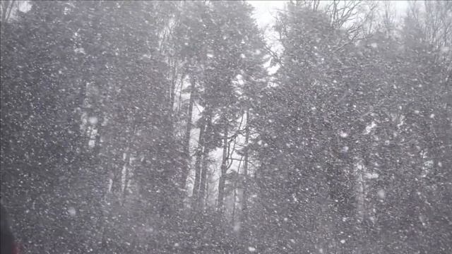 Видеопоэзия. "Душа" (В.Колесник - Н.Созинова)