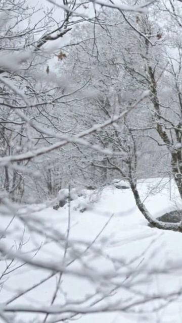 Ты пришёл в мою жизнь💖ГаласьОльга #современнаяпоэзия #современныестихи #поэзия #любовь #месяц #жизн смотреть онлайн