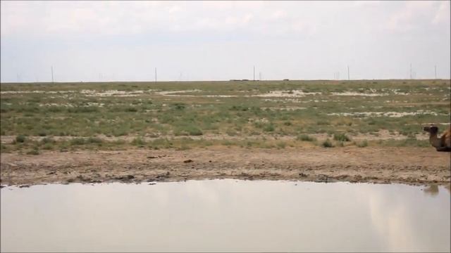 Казахстан смотреть онлайн