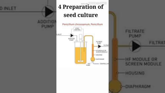 Production of Penicillin смотреть онлайн