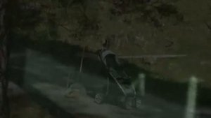 Странные существа засняты на камеру безопасности