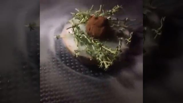 Шоколадный трюфель смотреть онлайн